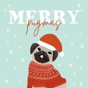 Hippe kerstkaart humor merry pugmas hondje kerstmuts en trui