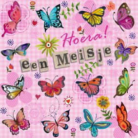 Hoera meisje geboren VLINDERS ruitje