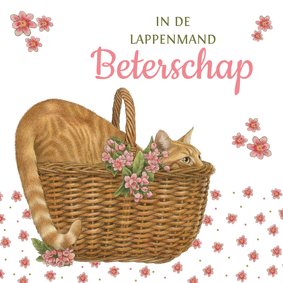 In de lappenmand beterschap