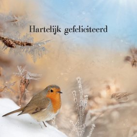 Jarig met roodborstje in wintersfeer