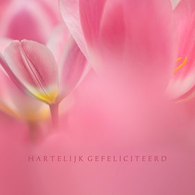 Jarig met roze tulpen