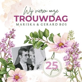 Jubileum bloemen cosmea sering aanpasbaar