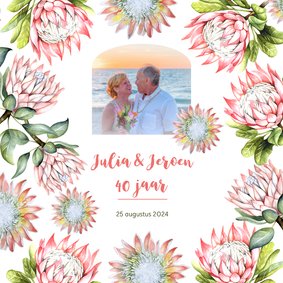 Jubileum protea tropisch