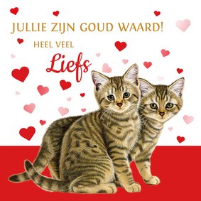 Jullie zijn goud waard kittens en hartjes