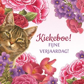 Kat zegt kiekeboe vanuit de bloemenstruik