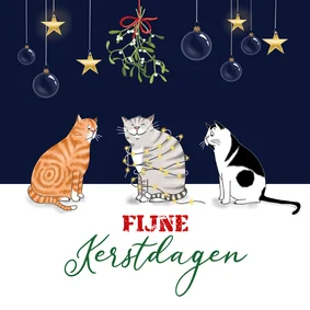 Kerst - drie katten onder de mistletoe