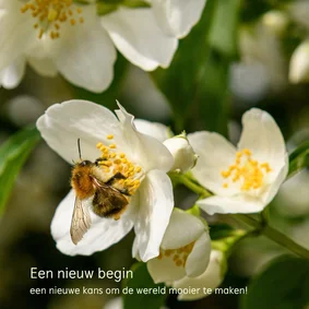 Kerst- en nieuwjaarskaart Land van Ons 2