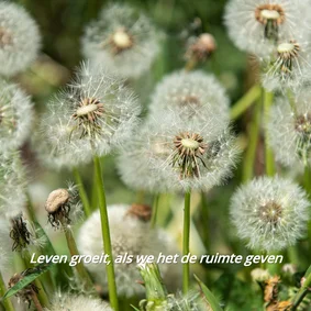 Kerst- en nieuwjaarskaart Land van Ons