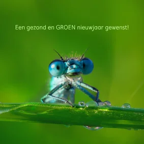 Kerst- en nieuwsjaarskaart Land van Ons 3