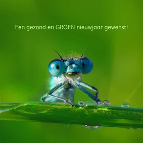 Kerst- en nieuwsjaarskaart Land van Ons 3