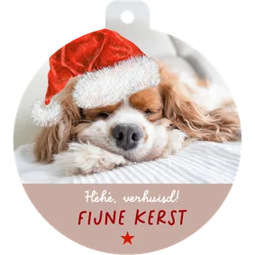 Kerst-verhuiskaart grappig hondje met kerstmuts