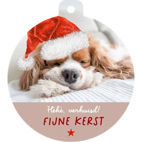 Kerst-verhuiskaart grappig hondje met kerstmuts