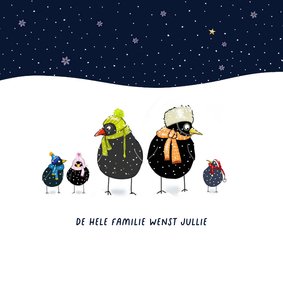Kerst - Vogel familie