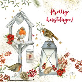 Kerst vogelhuisje roodborstjes