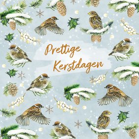 Kerst vogeltjes in de sneeuw