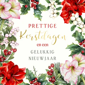 Kerstkaart amaryllissen