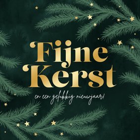 Kerstkaart fijne kerst dennentakjes groen goud sterren foto