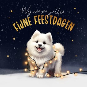 Kerstkaart hond Samojeed puppy winter lampjes feestdagen