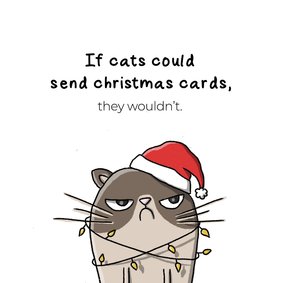 Kerstkaart If cats could send christmas cards, they wouldn't