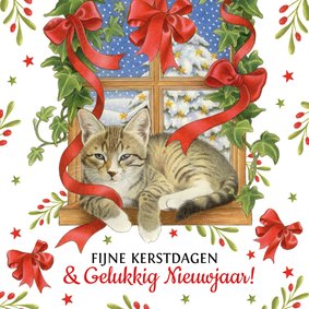 Kerstkaart kat in vensterbank 