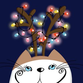 Kerstkaart - Kat met kerstlichtjes