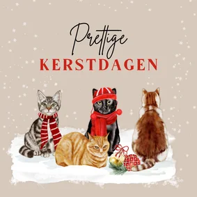 Kerstkaart katten in de sneeuw