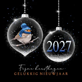 Kerstkaart kerstballen zilver roodborst met foto