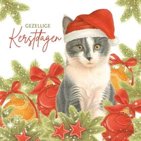 Kerstkaart Kerstkitten met kerstmuts en kerstballen