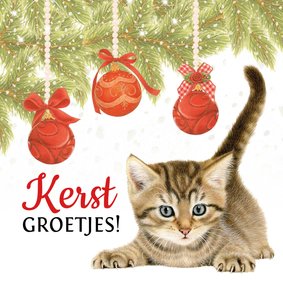 Kerstkaart kitten onder kerstboom met kerstballen