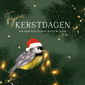 Kerstkaart koolmeesje kerstboom lichtjes