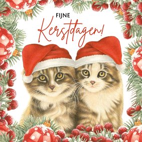 Kerstkaart met 2 vrolijke kerstkittens met kersttakjes