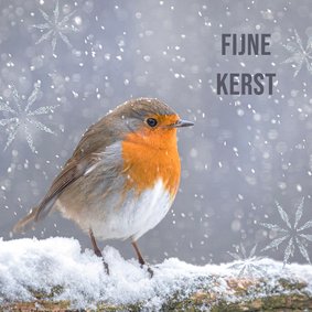 Kerstkaart met foto roodborst in de sneeuw