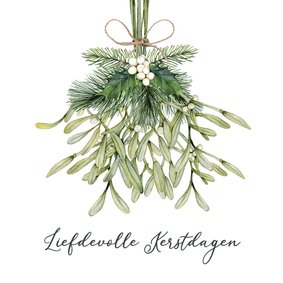 Kerstkaart met geïllustreerde mistletoe tak 