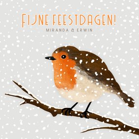 Kerstkaart met illustratie van roodborstje in de sneeuw