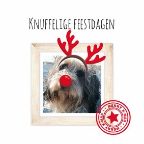 Kerstkaart met je huisdier