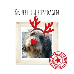 Kerstkaart met je huisdier