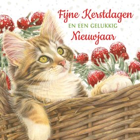 Kerstkaart met lieve kat in kerstmand