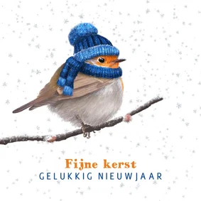 Kerstkaart met roodborst in de sneeuw