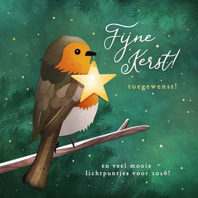 Kerstkaart met roodborstje op tak met ster lichtje