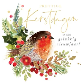 Kerstkaart met roodborstje takjes Robins 