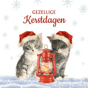 Kerstkaart met twee gezellige kerst kittens