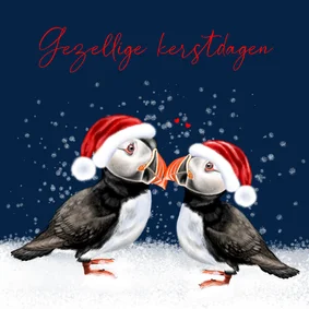 Kerstkaart met twee papegaaiduikers