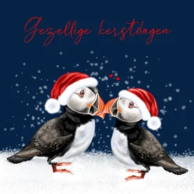 Kerstkaart met twee papegaaiduikers