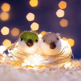 Kerstkaart met twee vogels op een nest