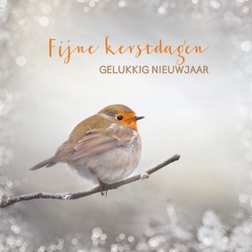 Kerstkaart met winter-roodborst