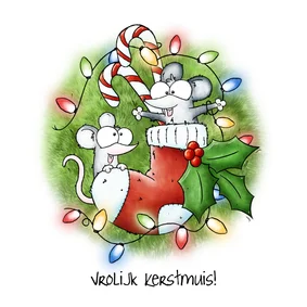 Kerstkaart muizen in sok - Vrolijk Kerstmuis!