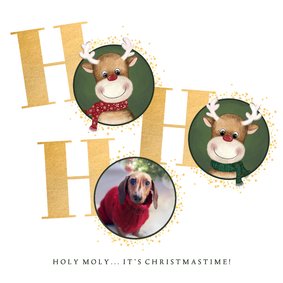 Kerstkaart rendier en foto Holy Moly it’s Christmastime