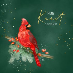 Kerstkaart rode kardinaal