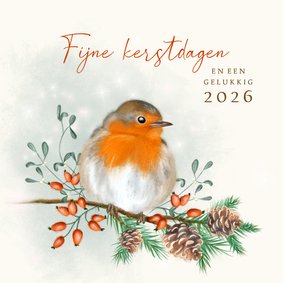 Kerstkaart roodborst met dennenappels