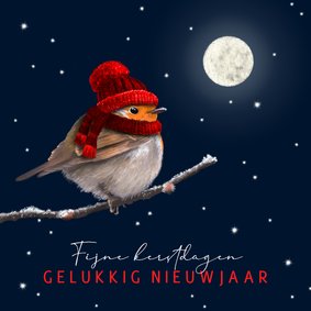 Kerstkaart roodborst rode muts en maan